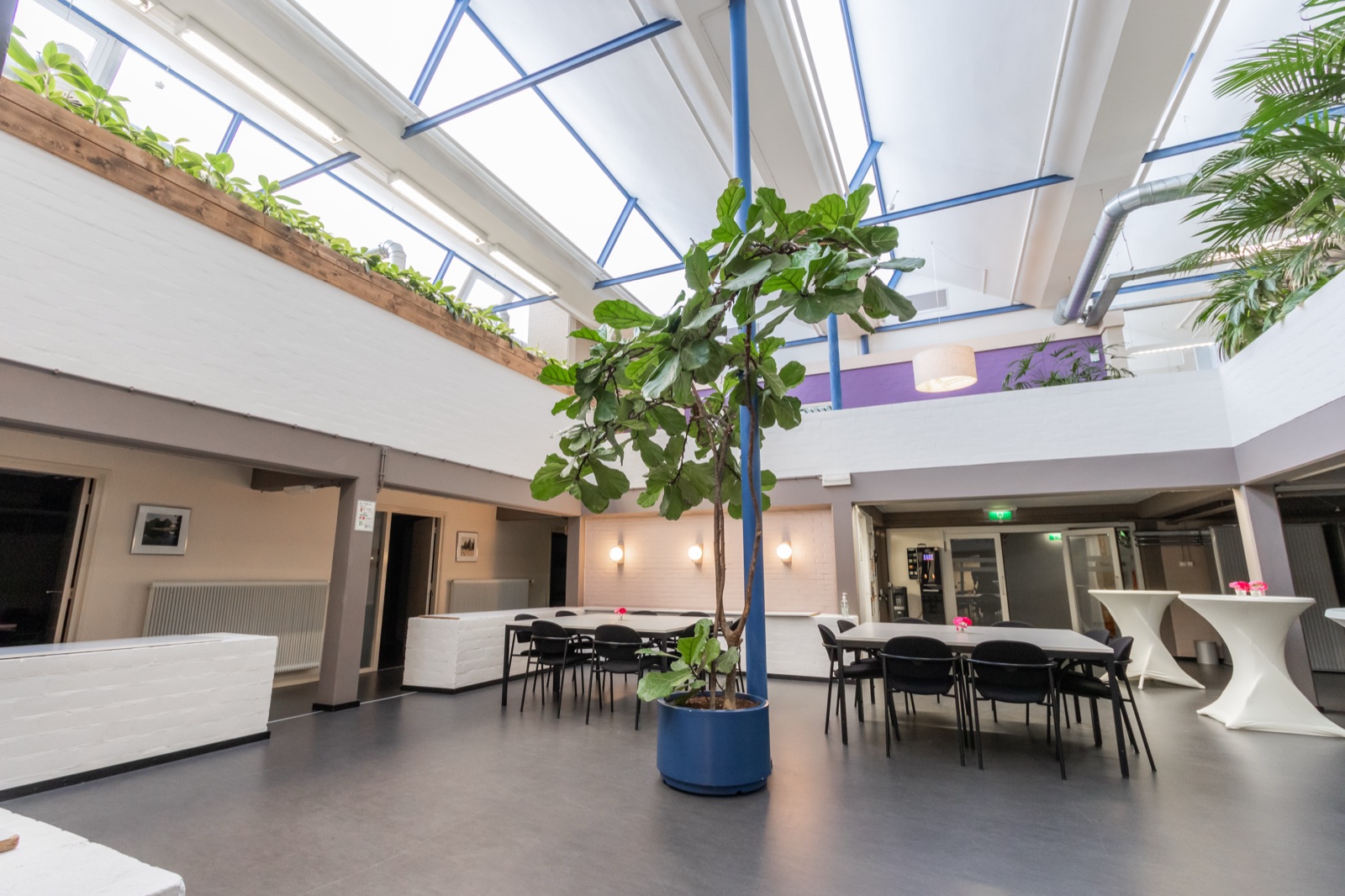 Het bestaande interieur met de karakteristieke sheddaken